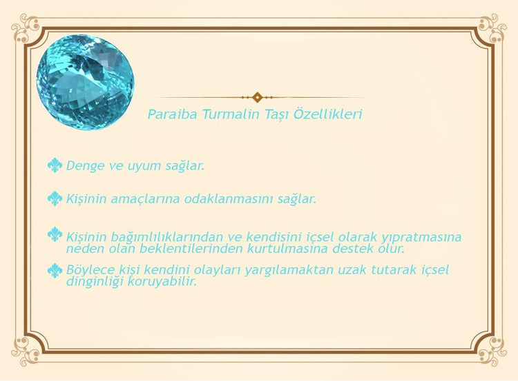 925 Sterling Silver Men's Ring with Aqua Paraiba Stone Edges and Pencil Workmanship Detail - EFENDINA PAZAR - Tesbihane - 102002293