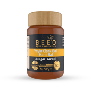 Beeo Bingöl Region Raw Honey 500 g - EFENDINA PAZAR - beeo - 8681644700604