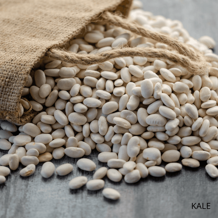 Kelkit Sugar Beans 1 kg - EFENDINA PAZAR - EFENDINA PAZAR - 