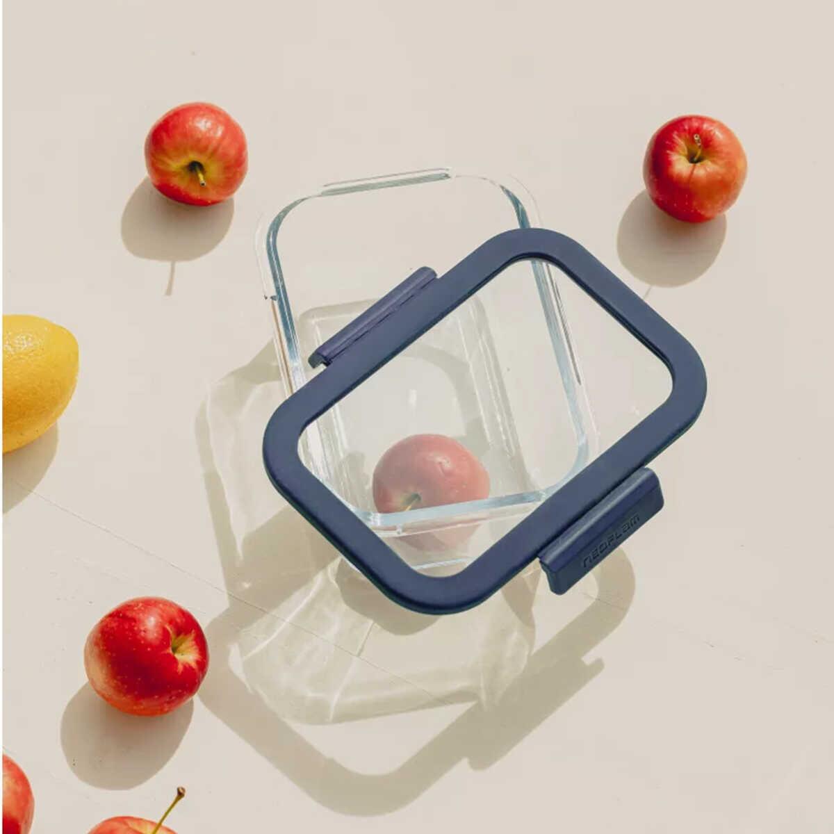 Neoflam Fika Glace Glass Storage Container Blue 460 ml - EFENDINA PAZAR - NEOFLAM - 8809358916092