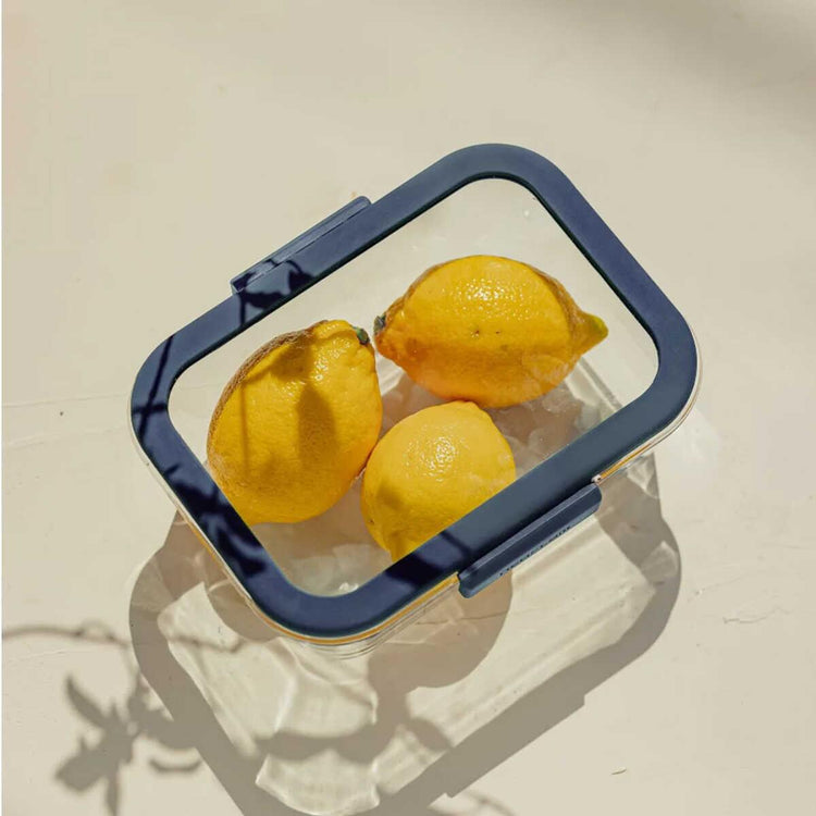 Neoflam Fika Glace Glass Storage Container Blue 460 ml - EFENDINA PAZAR - NEOFLAM - 8809358916092