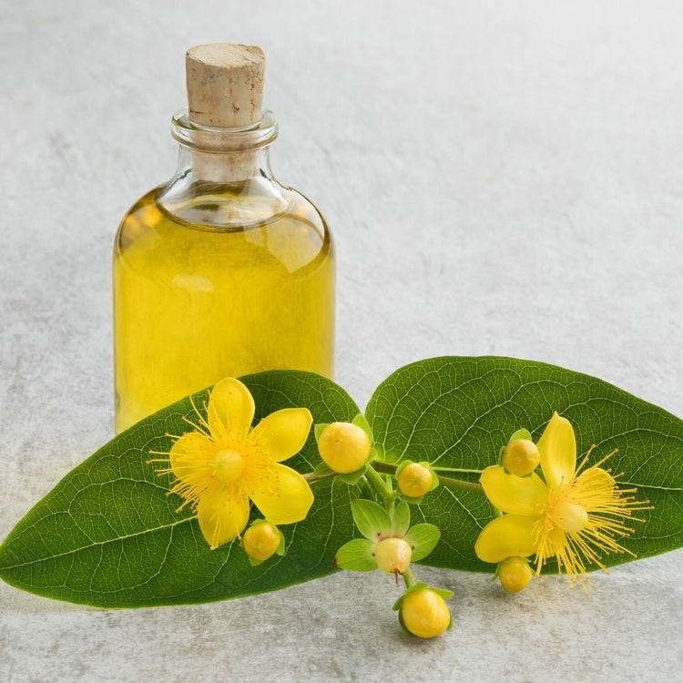 St. John&#39;s Wort Oil 100 ml - EFENDINA PAZAR - EFENDINA PAZAR - 