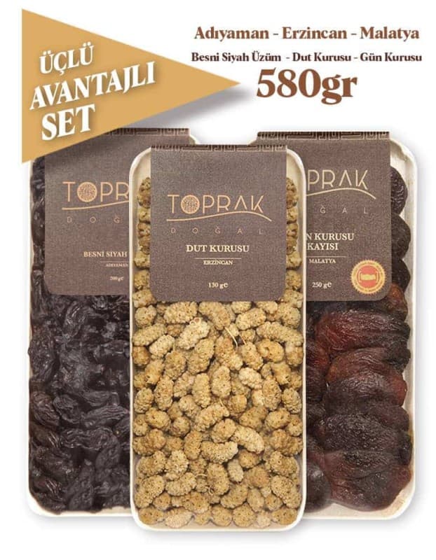 toprak dried fruit set of 3 580g