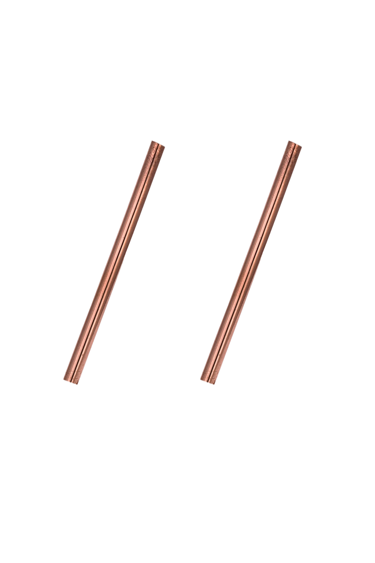 Copper Straw Straigh Set of 2